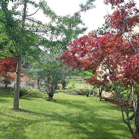 Istanti - Menta Appartement Costigliole Saluzzo Buitenkant foto